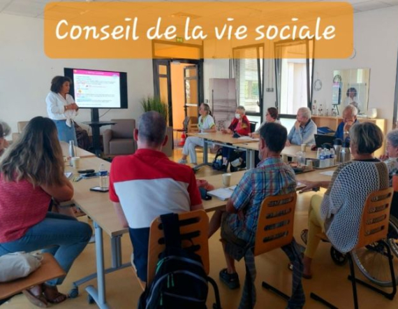 Conseil de la vie sociale