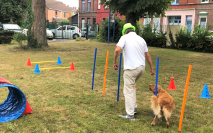 mediation animale - parcours ludique avec un chien