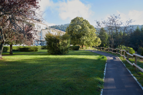 Parc avec chemin et des arbres