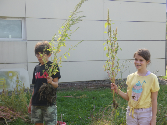 Atelier-espaces-verts-dispositif-inclusif-Noidans-Lès-Vesoul