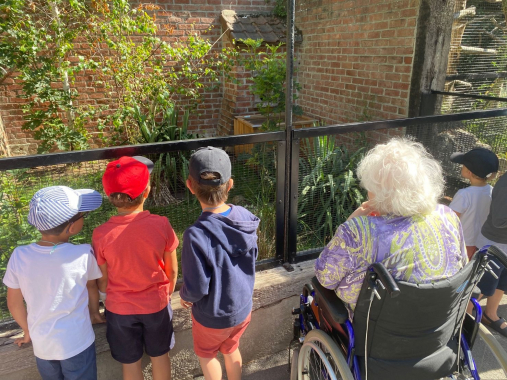 enfants et personne âgée en fauteuil roulant de dos