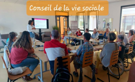 Conseil de la vie sociale