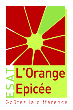 LOGO ESAT ORANGE ÉPICÉE