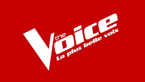 Logo The Voice La plus belle voix