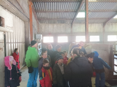 Visite de la Fromagerie