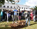 Inauguration arbre symbolique
